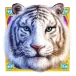 icon 10