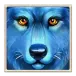 icon 3