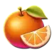 icon 6
