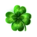 icon 4