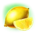 icon 7