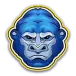 icon 1