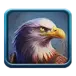 icon 4