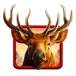 icon 1