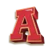 icon 5