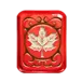 icon 13