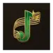 icon 9