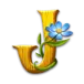 icon 10