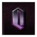 icon 9