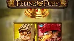 Feline Fury