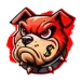 icon 2
