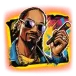 icon 9