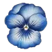 icon 3
