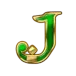 icon 9
