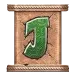 icon 9