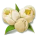 icon 5