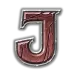 icon 10