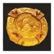 icon 13