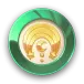 icon 9