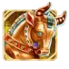 icon 2