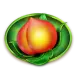 icon 5