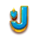 icon 9