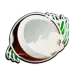 icon 4