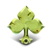 icon 9