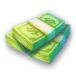 icon 4