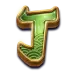 icon 10