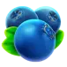 icon 6