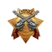 icon 5
