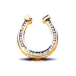 icon 5
