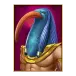 icon 5