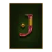 icon 10