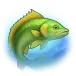 icon 12