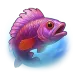 icon 10