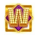icon 9