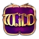 icon 1