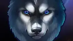 Spinsane