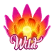 icon 9