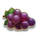 icon 5