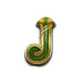 icon 9