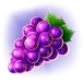 icon 5