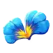 icon 10