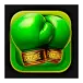 icon 9