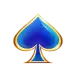 icon 9