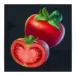 icon 6