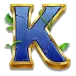 icon 10