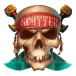 icon 9